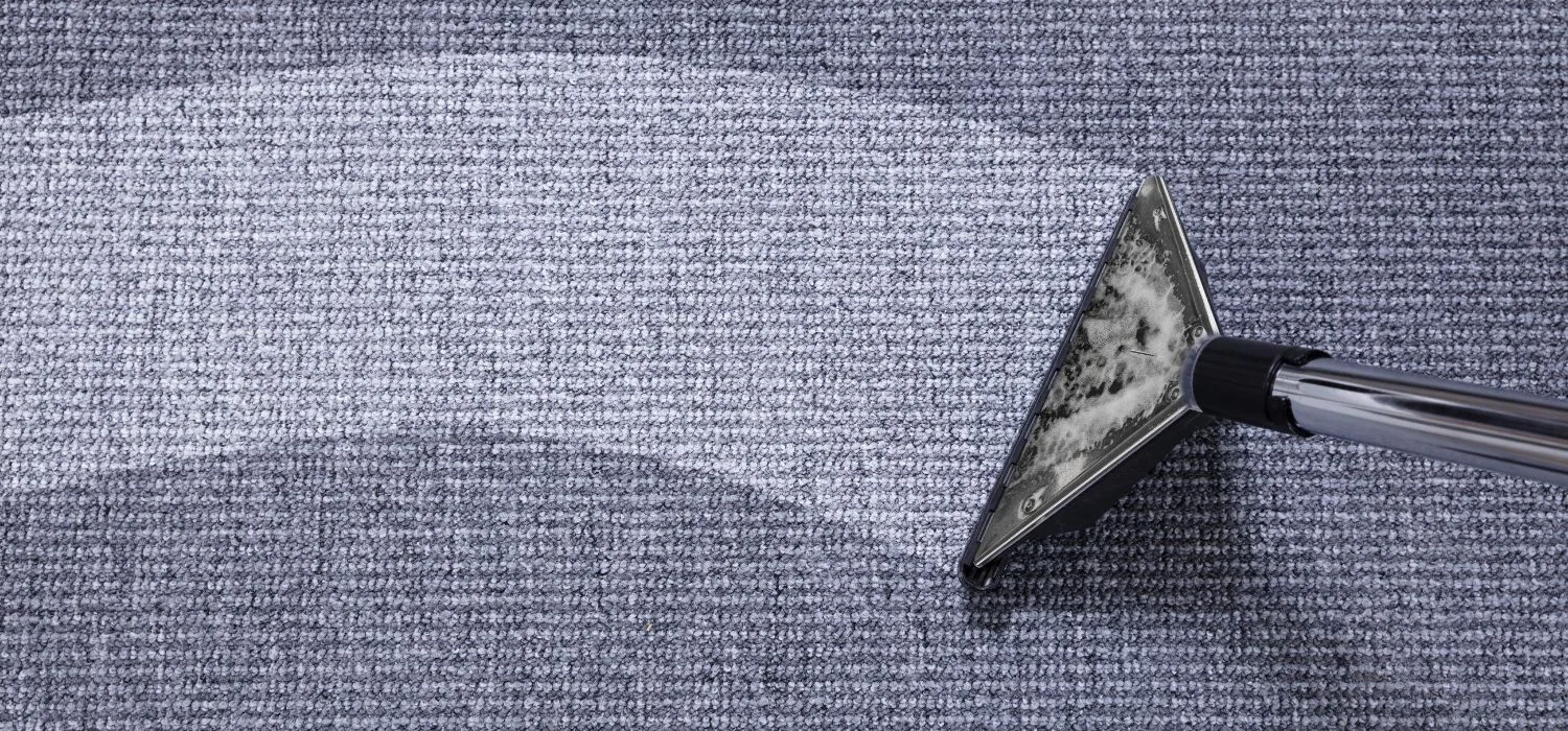 Servicii profesionale de curatenie – Carpeta Magica Brasov | Servicii profesionale de curatenie | Servicii profesionale de curatenie