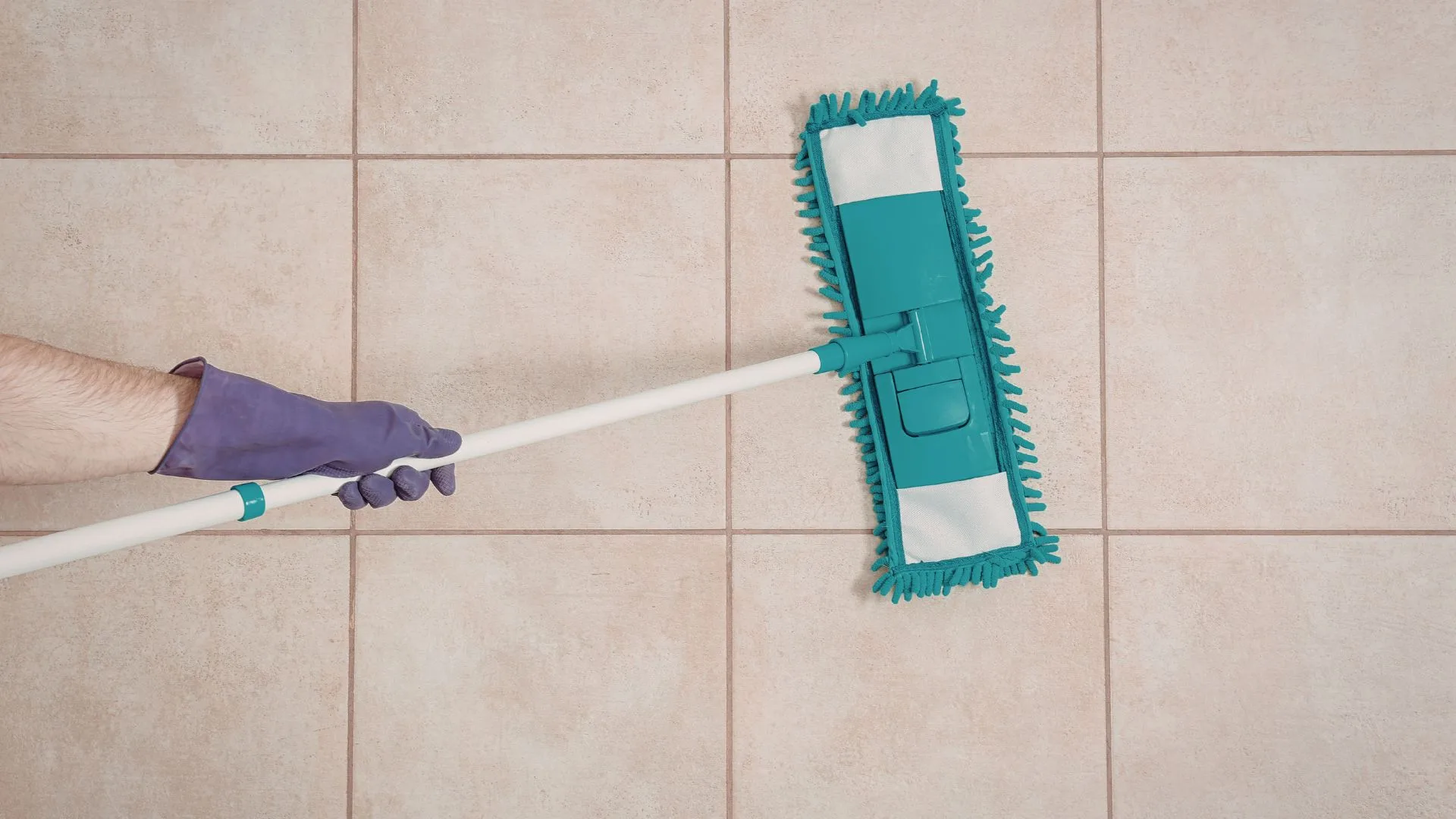 Servicii profesionale de curatenie – Carpeta Magica Brasov | Servicii profesionale de curatenie | Servicii profesionale de curatenie